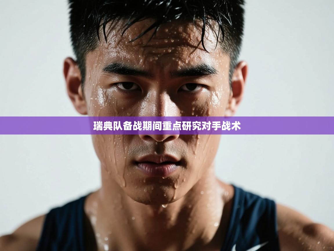 瑞典队备战期间重点研究对手战术  第2张